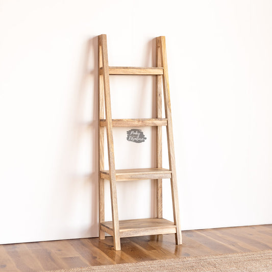 Wooden Bookshelf Ladder Design