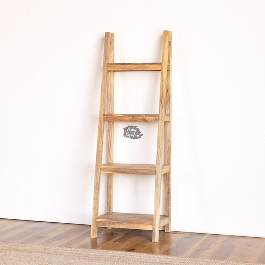Wooden Bookshelf Ladder Design